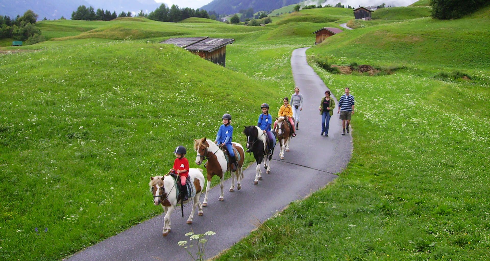 Reiten am Haflingerhof in Fiss