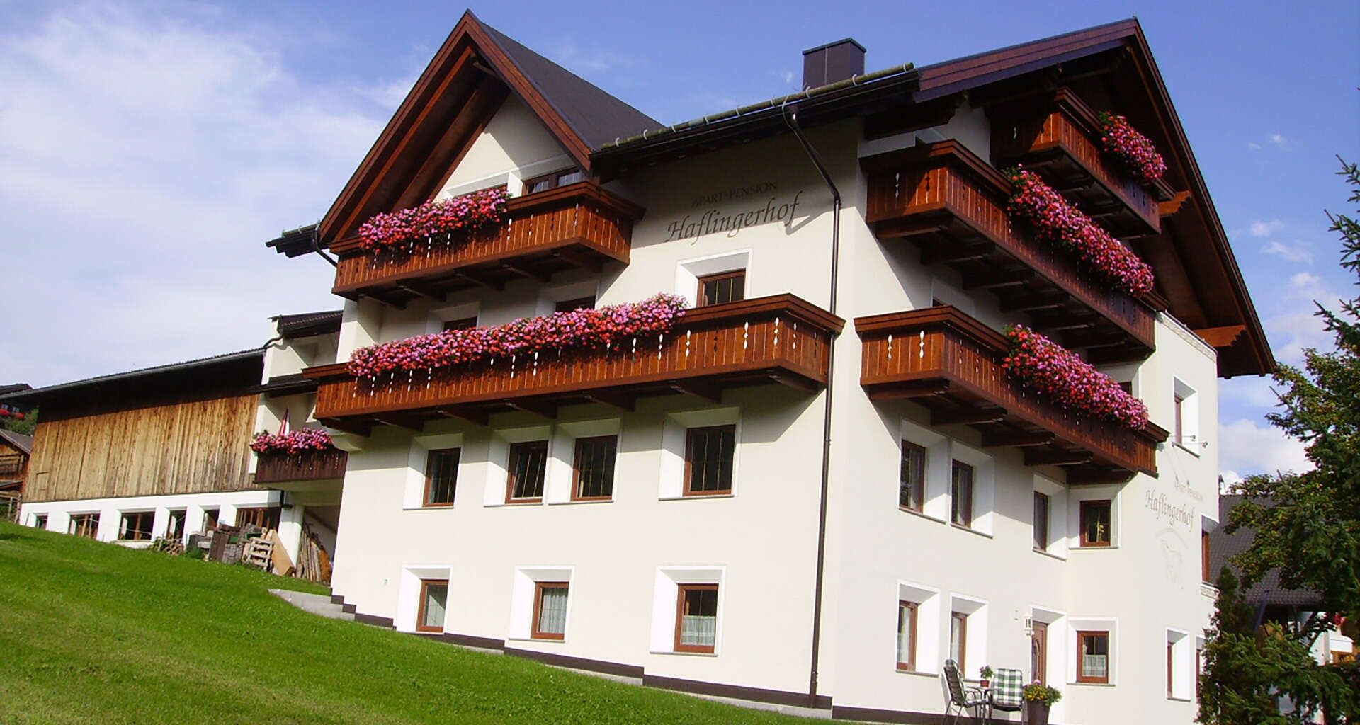 Haflingerhof in Fiss in Tirol