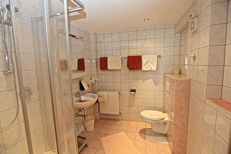 Apartment Haflingerhof with bathroom