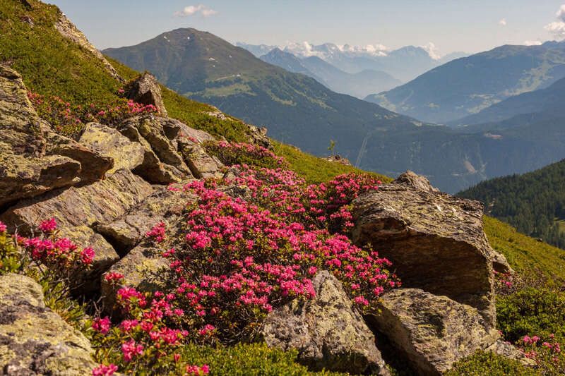 Sommerlandschaft in Serfaus Fiss Ladis