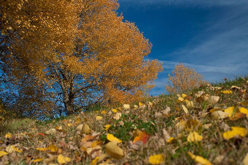 Autumn landscape in Serfaus Fiss Ladis